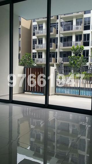 Palm Isles (D17), Condominium #68132842